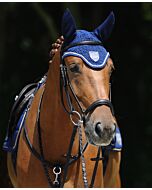 Passier Frontriem Onderlegd 