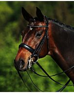 Passier Stang en Trens Hoofdstel Hubertus Schmidt