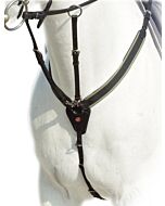 Prestige voortuig Special Jump D41