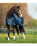 Horseware Liner 100 gram
