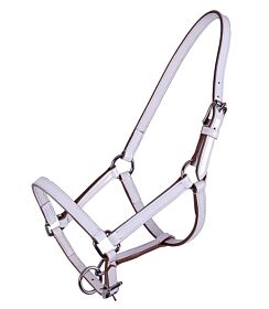 QHP Leren Veulenhalster Ilanura