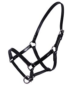 QHP Leren Veulenhalster Ilanura