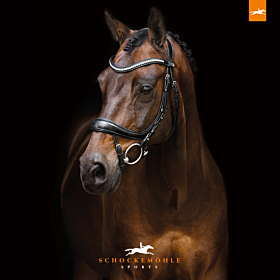 Schockemohle Hoofdstel Equitus Beta