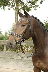 Harry's Horse Hoofdstel Luxe zwart / wit gecombineerd