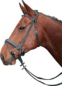 Harry's Horse Hoofdstel Luxe Rond aansnoerneusriem