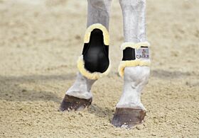 Eskadron Kogelbeschermers Lang Lamsvel