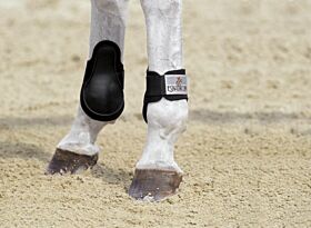 Eskadron Kogelbeschermers Lang