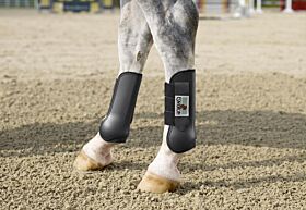 Eskadron Peesbeschermers Paard Achter