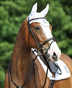 Passier Hoofdstel Marcus Ehning