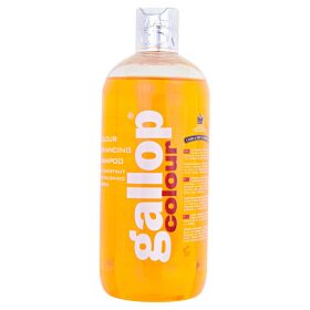 Carr & Day & Martin shampoo Gallop Colour Chestnut 500 ml