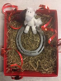 Braaaf Hoefijzer Cadeaubon € 500,00
