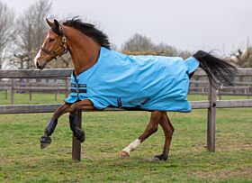 Amigo Hero 900D Turnout Lite 0 gram Capri / gunmetal & Bluebell