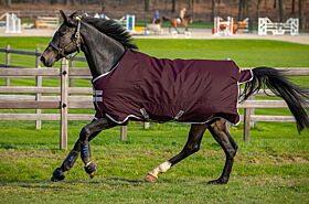 Amigo Hero Ripstop 50 gram Fig / Silver