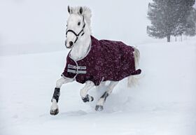 Amigo Hero Ripstop 200 gram Fig / Silver