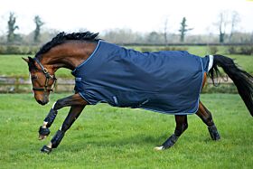 Amigo Bravo-12 Turnout Medium 250 gram