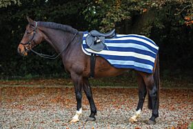 Rambo Newmarket Competition Sheet