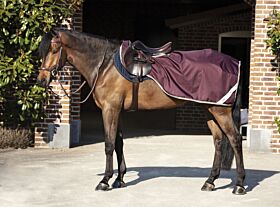 Amigo Ripstop Competition Sheet Fig / Navy & Tan