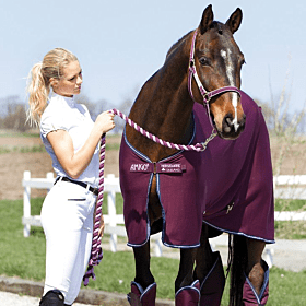 Amigo Jersey Cooler Fig