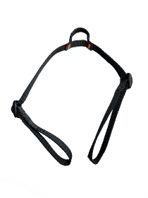 Freejump Cordon Y Zadelband 2021