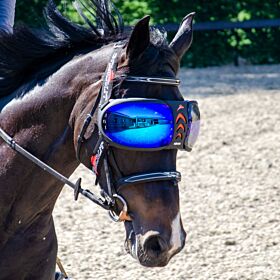 eQquick eVysor Mirrored Blue