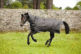 Amigo Hero-6 Turnout Plus Medium 200 gram