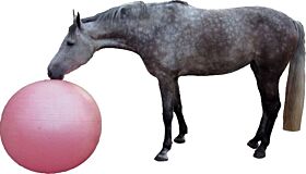 QHP Paardenvoetbal 