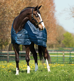 Horseware Liner 200 gram