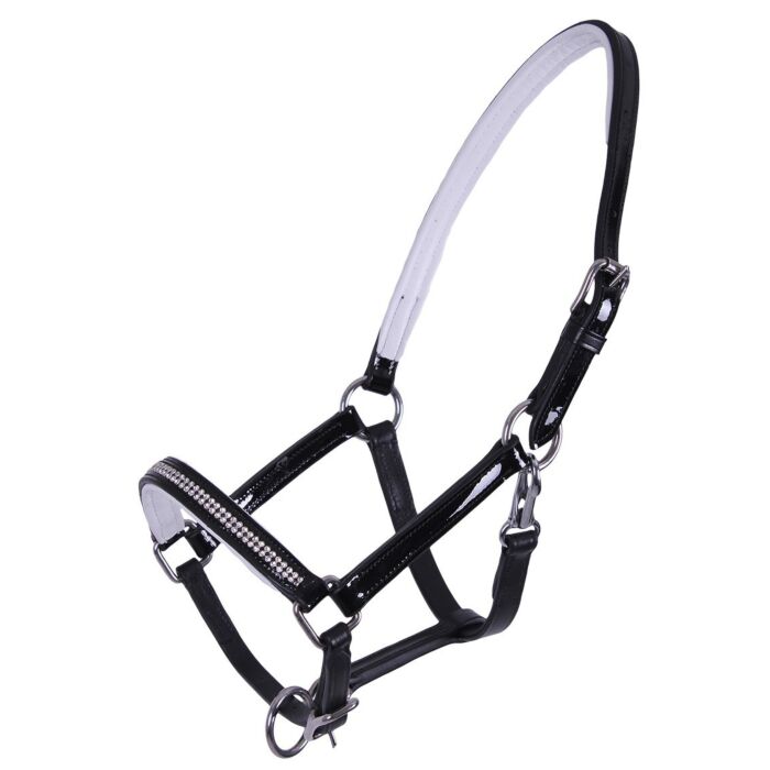 QHP Leren Veulenhalster Mimas