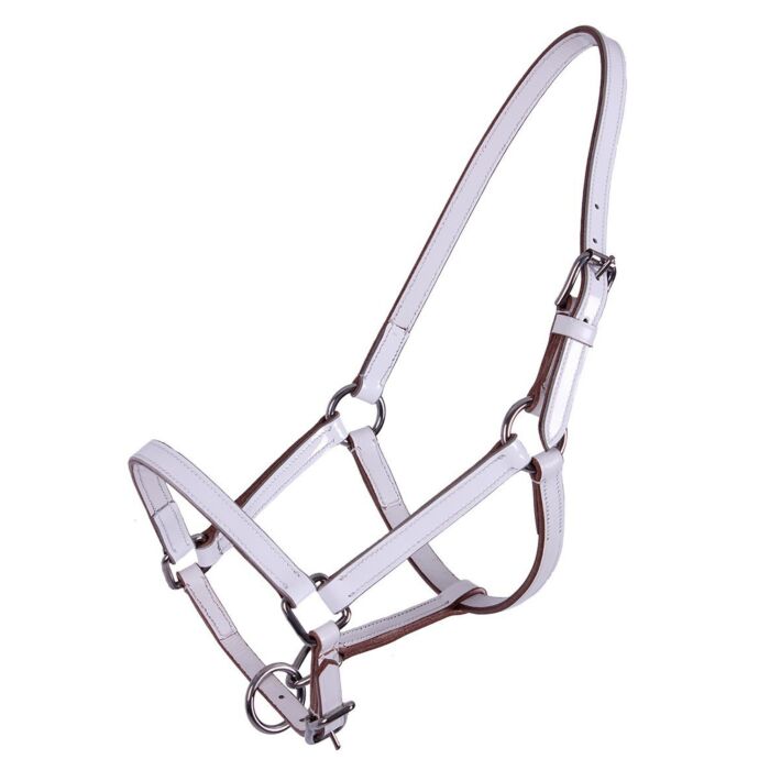 QHP Leren Veulenhalster Ilanura