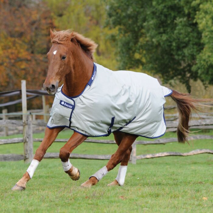 Bucas Power Turnout Light Big Neck