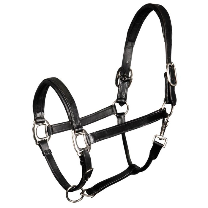 Harry's Horse leren Halster Padded