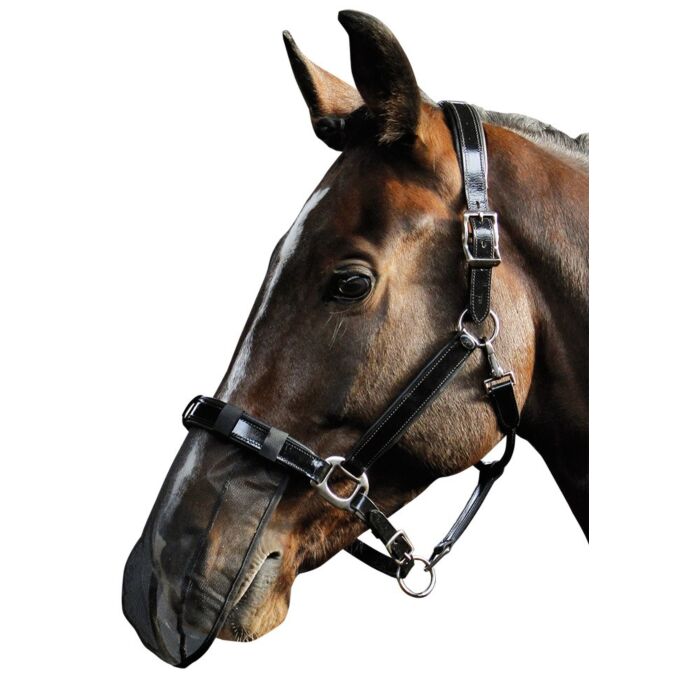 Harry's Horse Nose Net