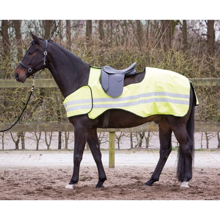 Harry's Horse Uitrijdeken Reflective 