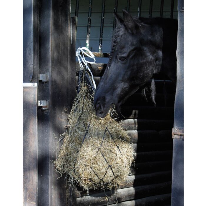 Harry's Horse Hooinet standaard