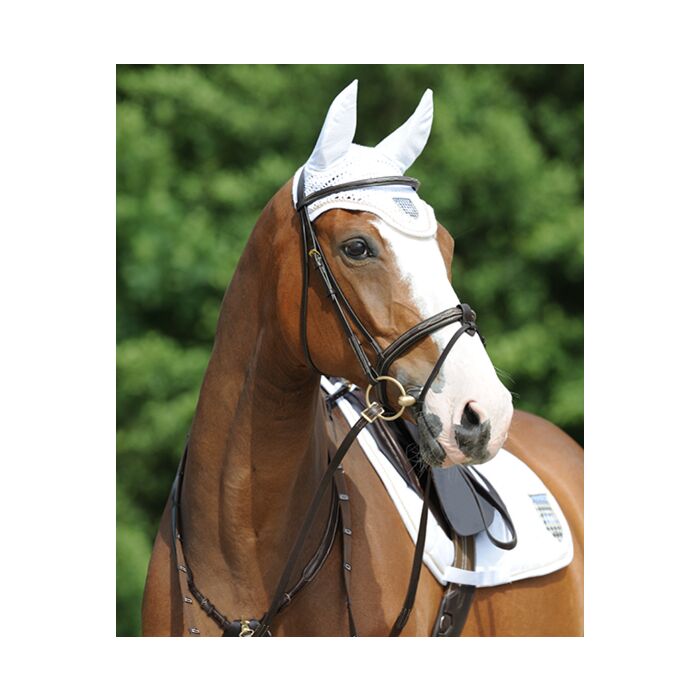 Passier Hoofdstel Marcus Ehning