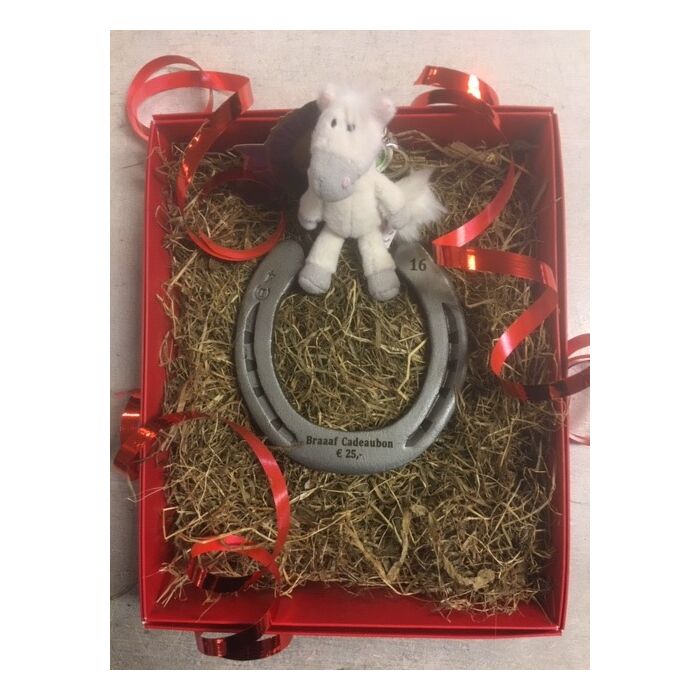 Braaaf Hoefijzer Cadeaubon € 500,00