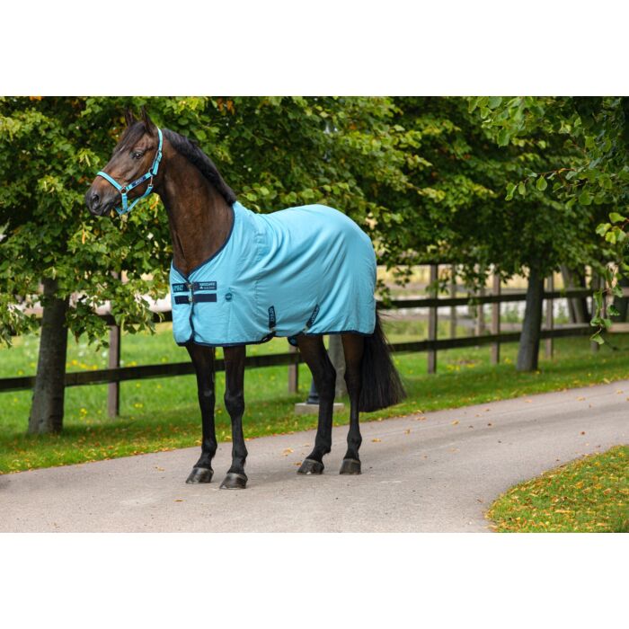 Amigo Zomerdeken Delphinium Blue/Navy
