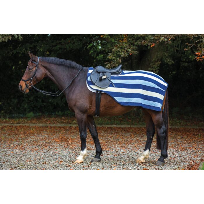 Rambo Newmarket Competition Sheet