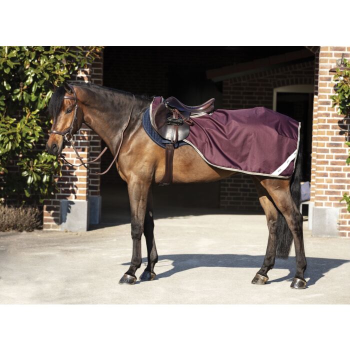 Amigo Ripstop Competition Sheet Fig / Navy & Tan
