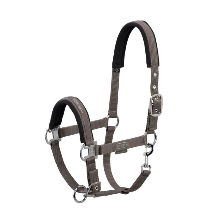 Eskadron Halster Pin Buckle Classic Sports Fossil