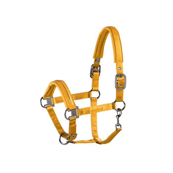 Eskadron Halster Double Pin Satin Crystals Classic Sports Vintage Gold