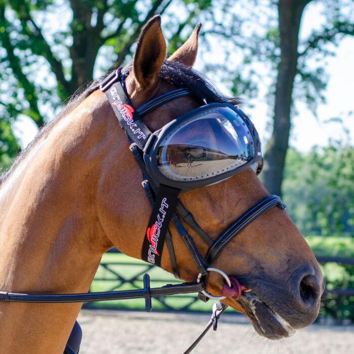 eQquick eVysor Transparant
