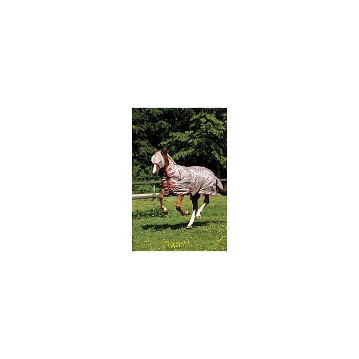 Amigo Mio Fly Rug Bronze Red